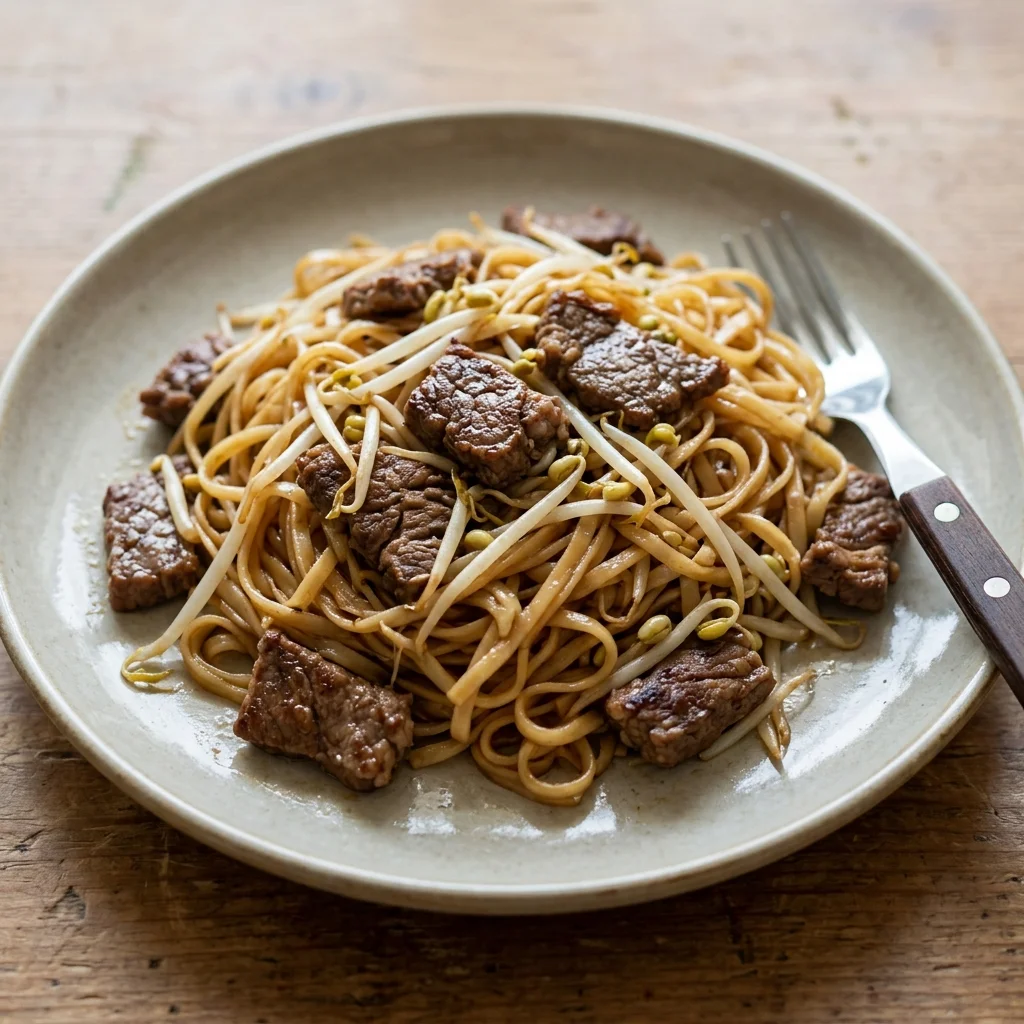 Mung Bean Sprout Beef Noodles